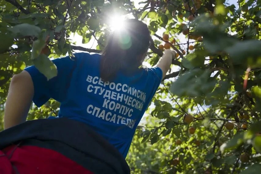 Cтуденты-спасатели из Приморья и Дагестана помогают семьям героев в ДНР
